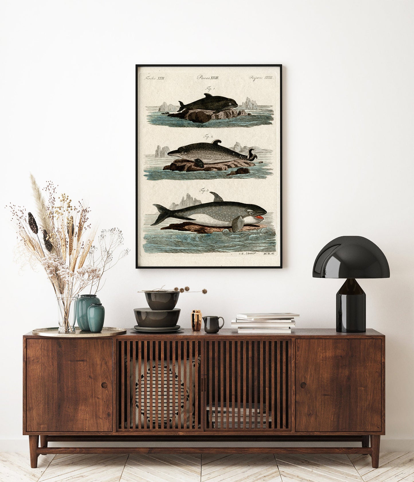 Affiche vintage Histoire Naturelle - Jacob Xaver Schmuzer "Fische, Pisces, Poissons XXIII"