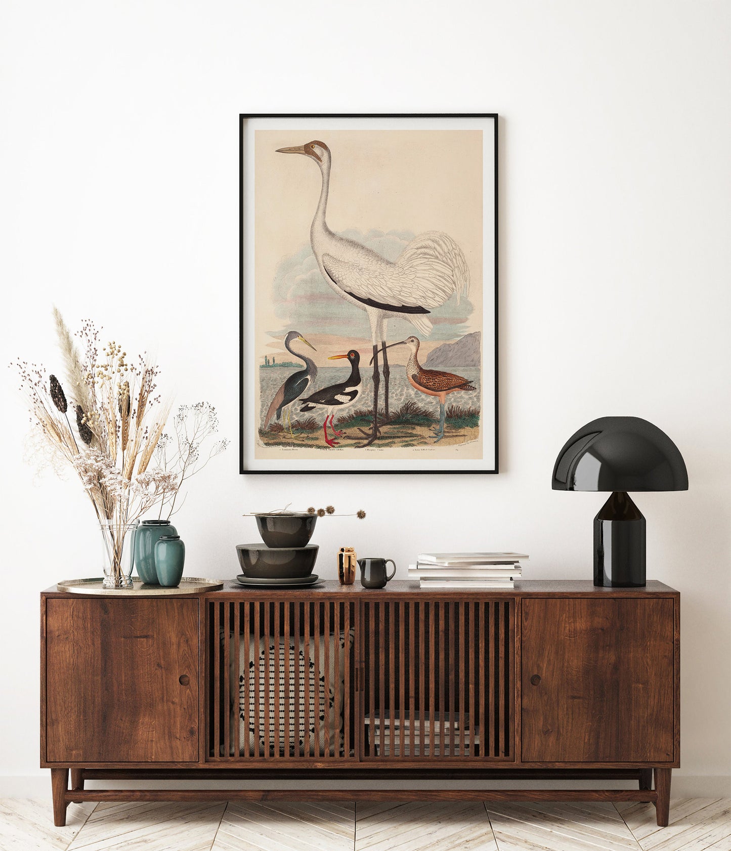 Louisiana Heron, Pied Oyster-catcher, Hooping Crane and Long-billed Curlew, by John G. Warnicke