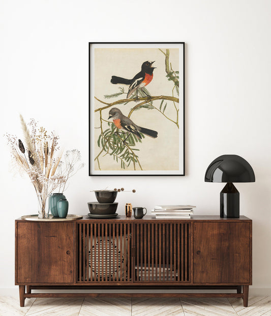 Paruline à poitrine rouge, par John Lewin