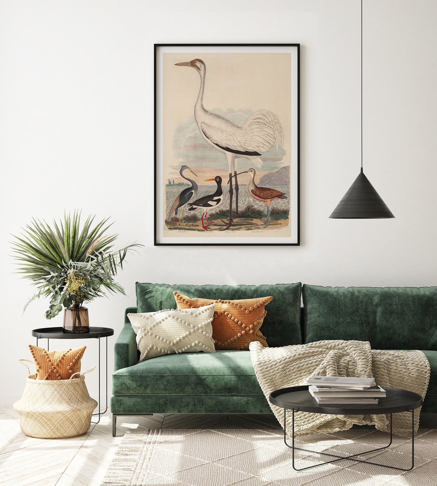 Louisiana Heron, Pied Oyster-catcher, Hooping Crane and Long-billed Curlew, by John G. Warnicke
