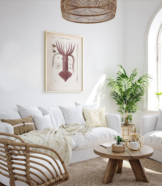 Illustration française vintage d'un calmar