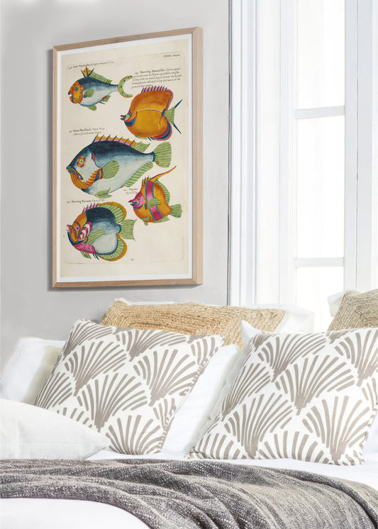 Vintage french illustration of fishs