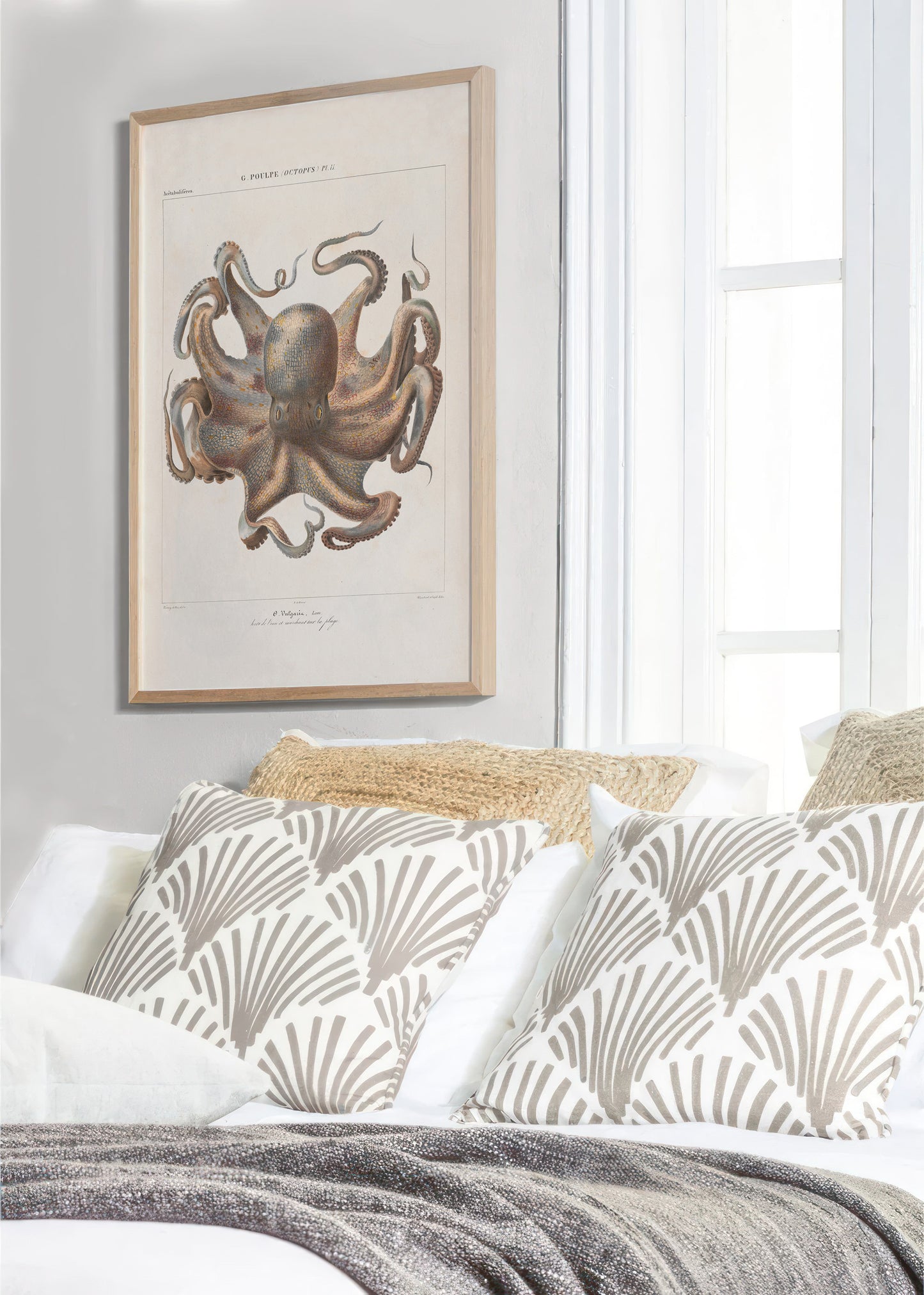 Vintage French illustration of an octopus