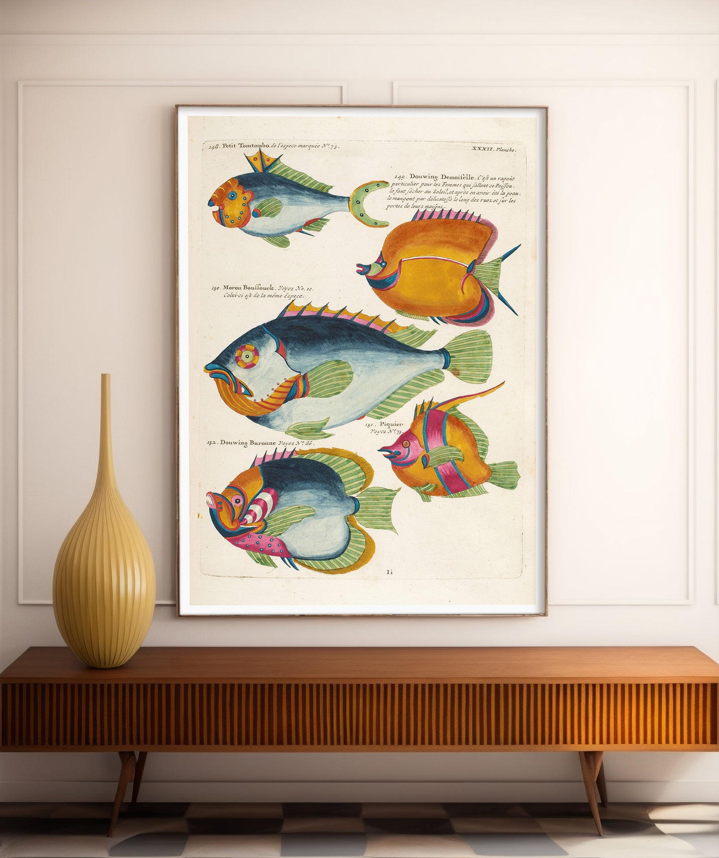Affiche vintage histoire naturelle - îles Moluques