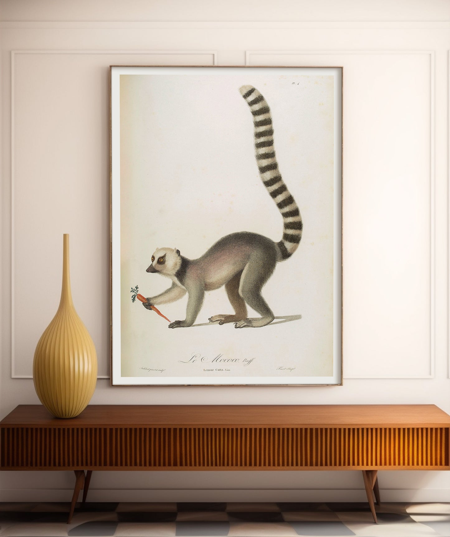 Vintage French illustration of a Lemur