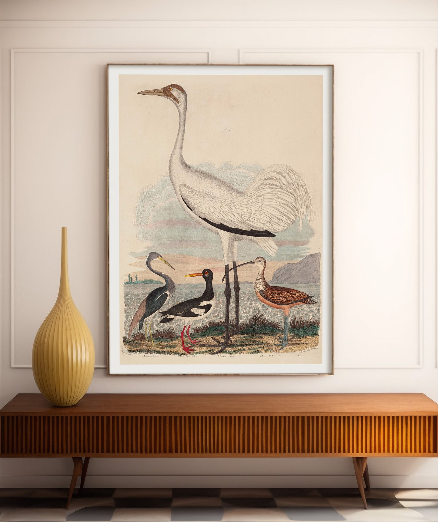 Louisiana Heron, Pied Oyster-catcher, Hooping Crane and Long-billed Curlew, by John G. Warnicke