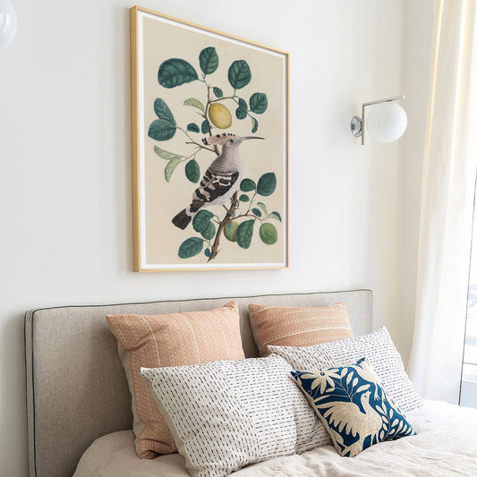 Hoopoe on a Citrus Tree Branch, c. 1800. India