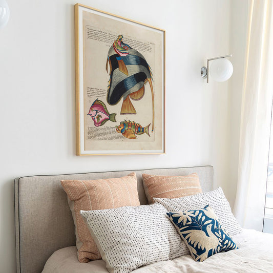 Vintage french illustration of fishs