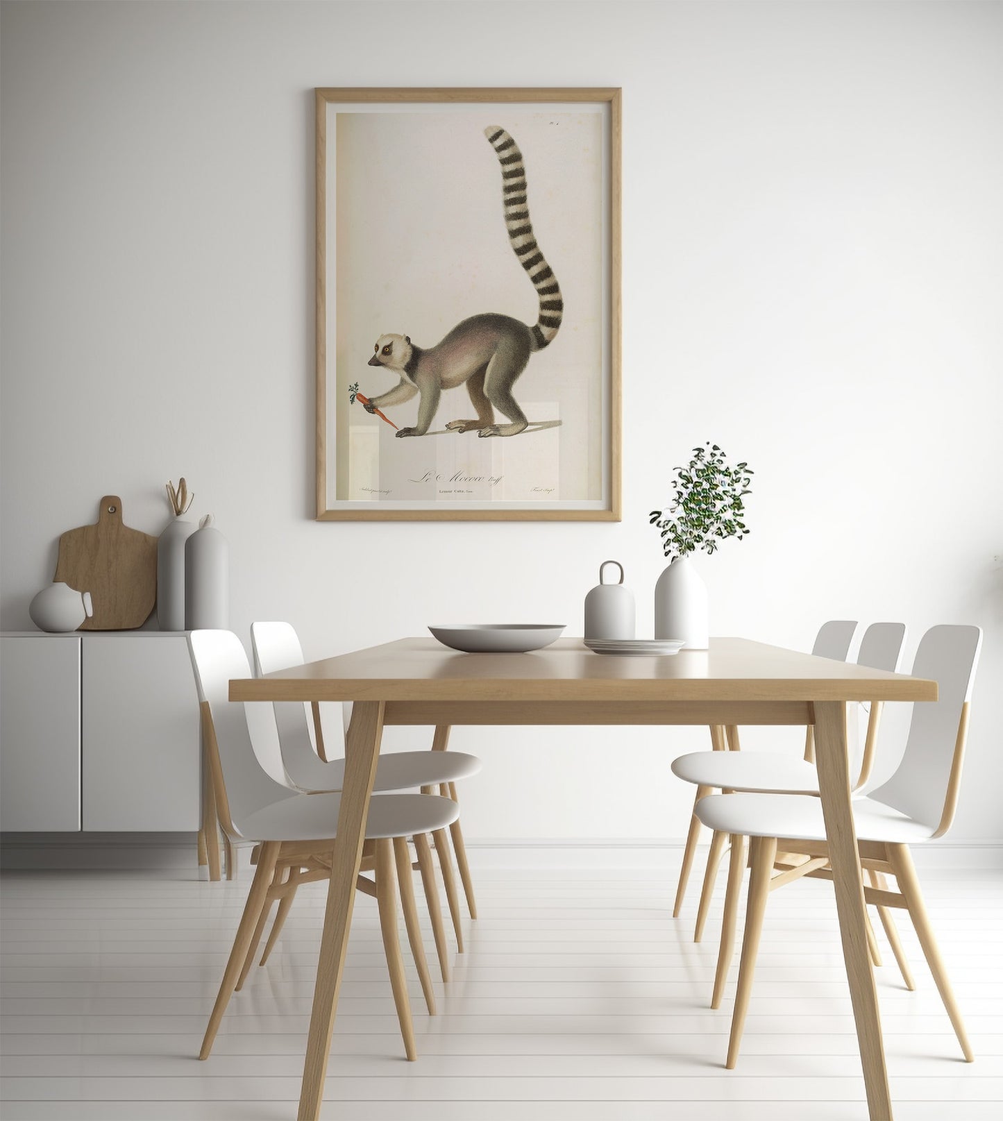 Vintage French illustration of a Lemur