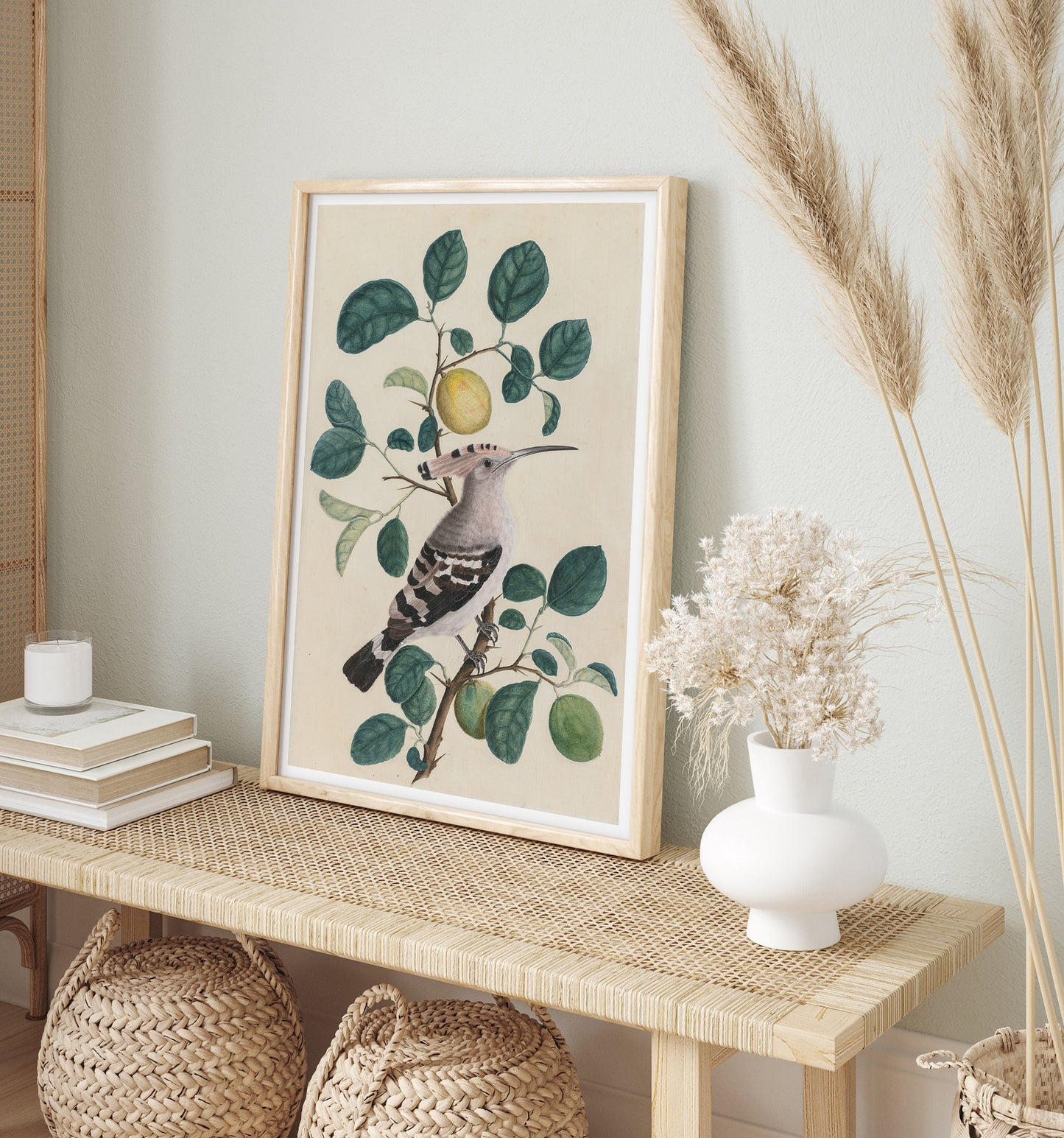 Hoopoe on a Citrus Tree Branch, c. 1800. India