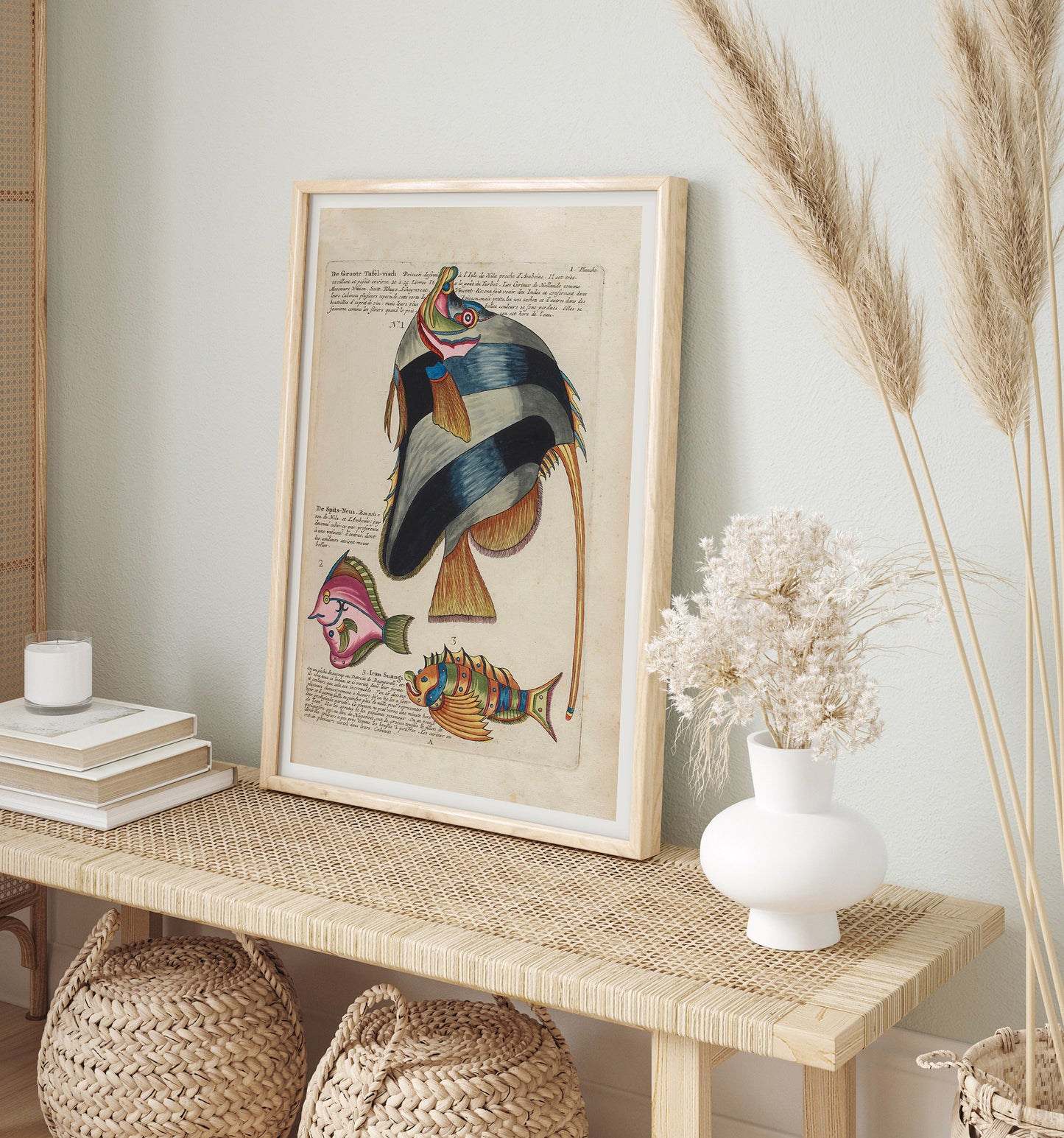 Illustration française vintage de poissons