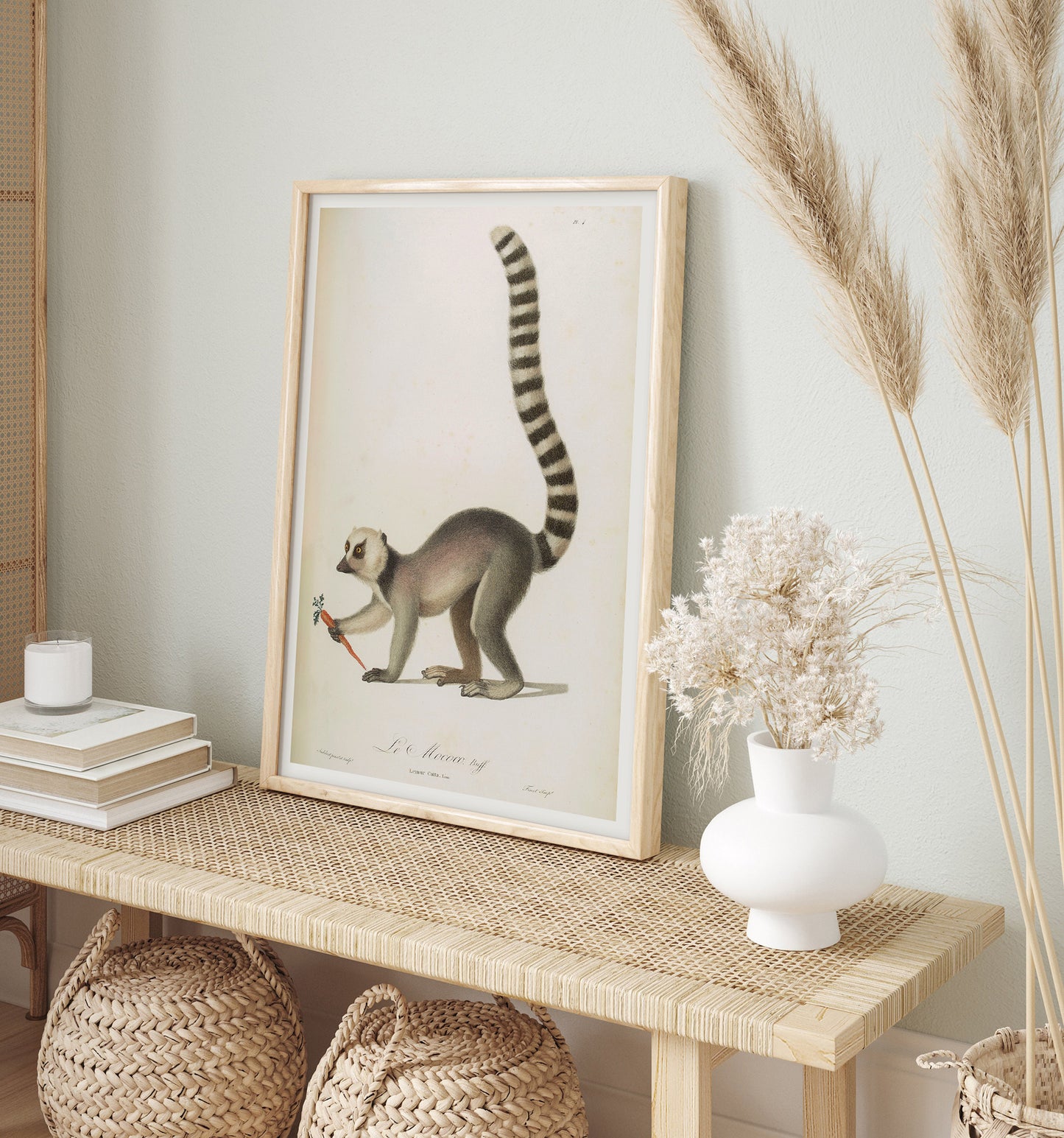 Vintage French illustration of a Lemur