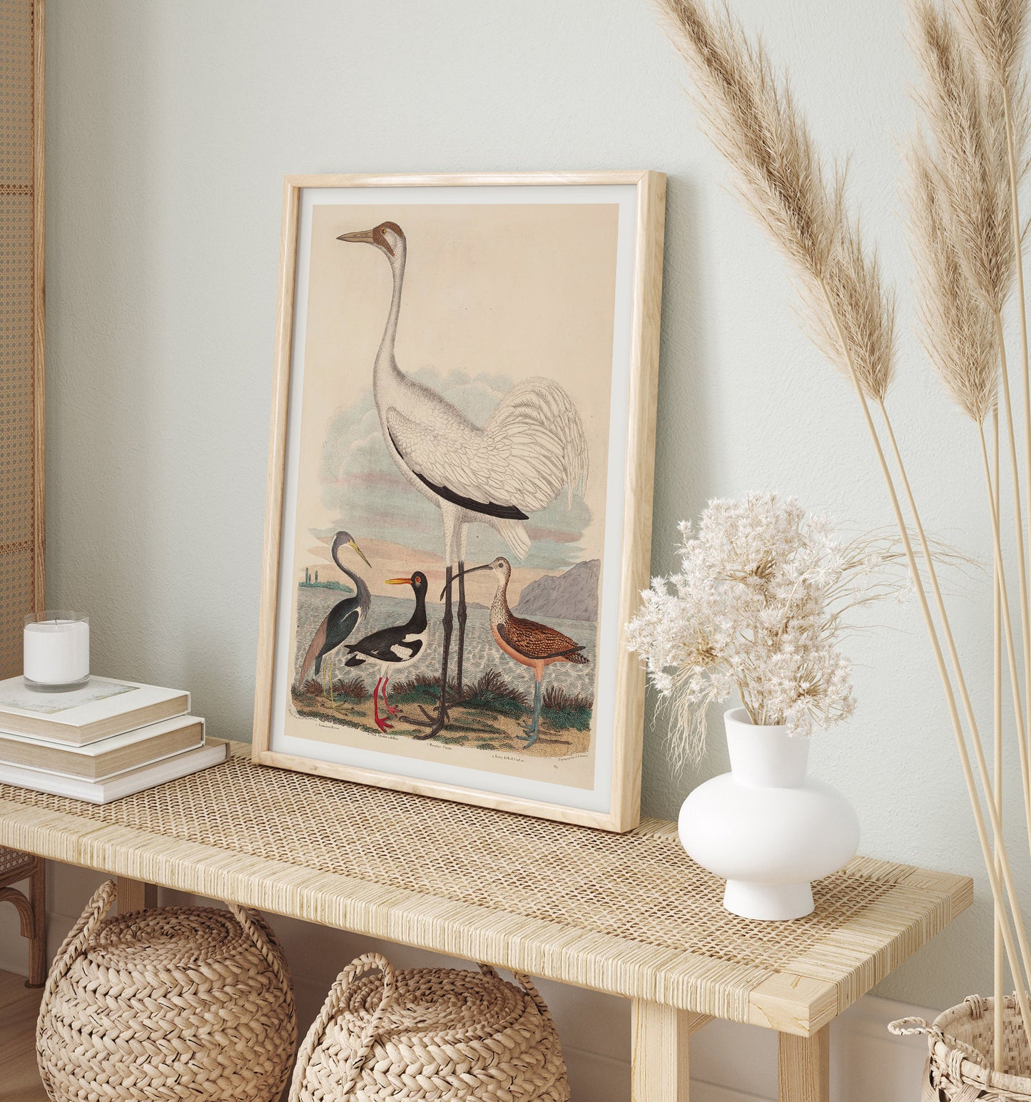 Louisiana Heron, Pied Oyster-catcher, Hooping Crane and Long-billed Curlew, by John G. Warnicke