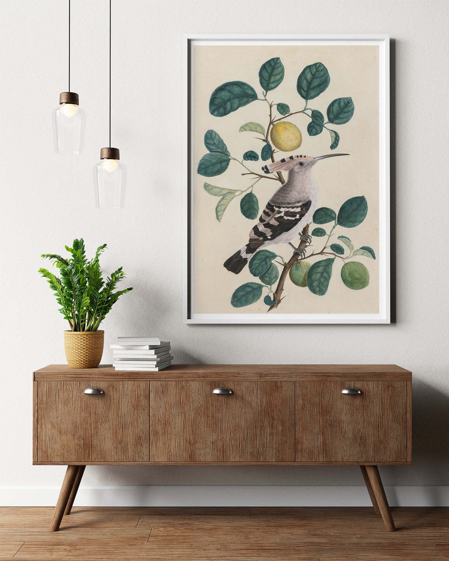 Hoopoe on a Citrus Tree Branch, c. 1800. India