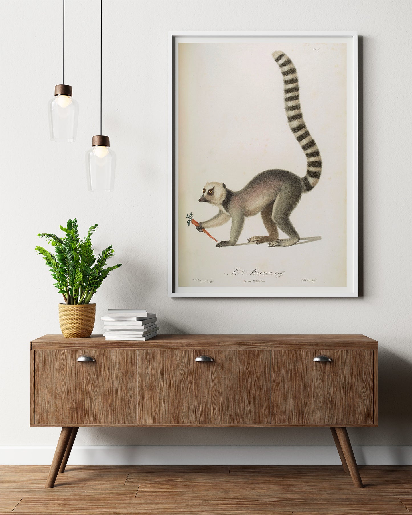 Vintage French illustration of a Lemur