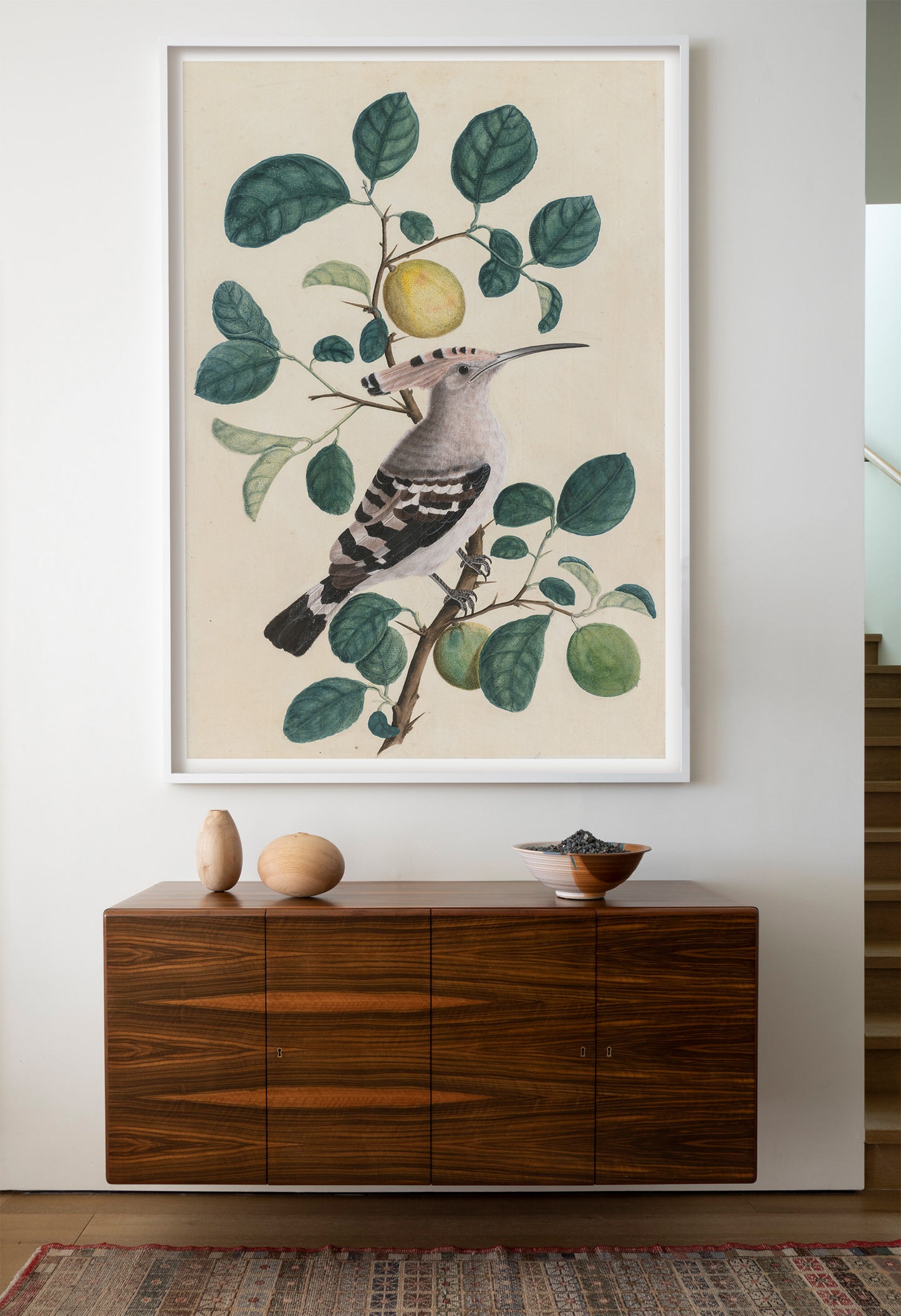 Hoopoe on a Citrus Tree Branch, c. 1800. India