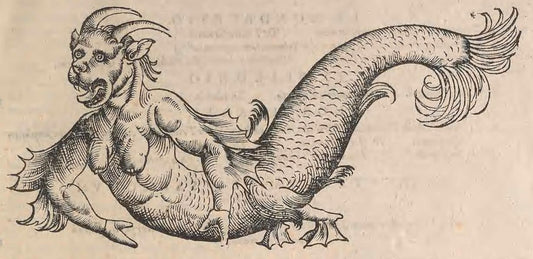 Sea monster triton from Conrad Gessner Historia animalium