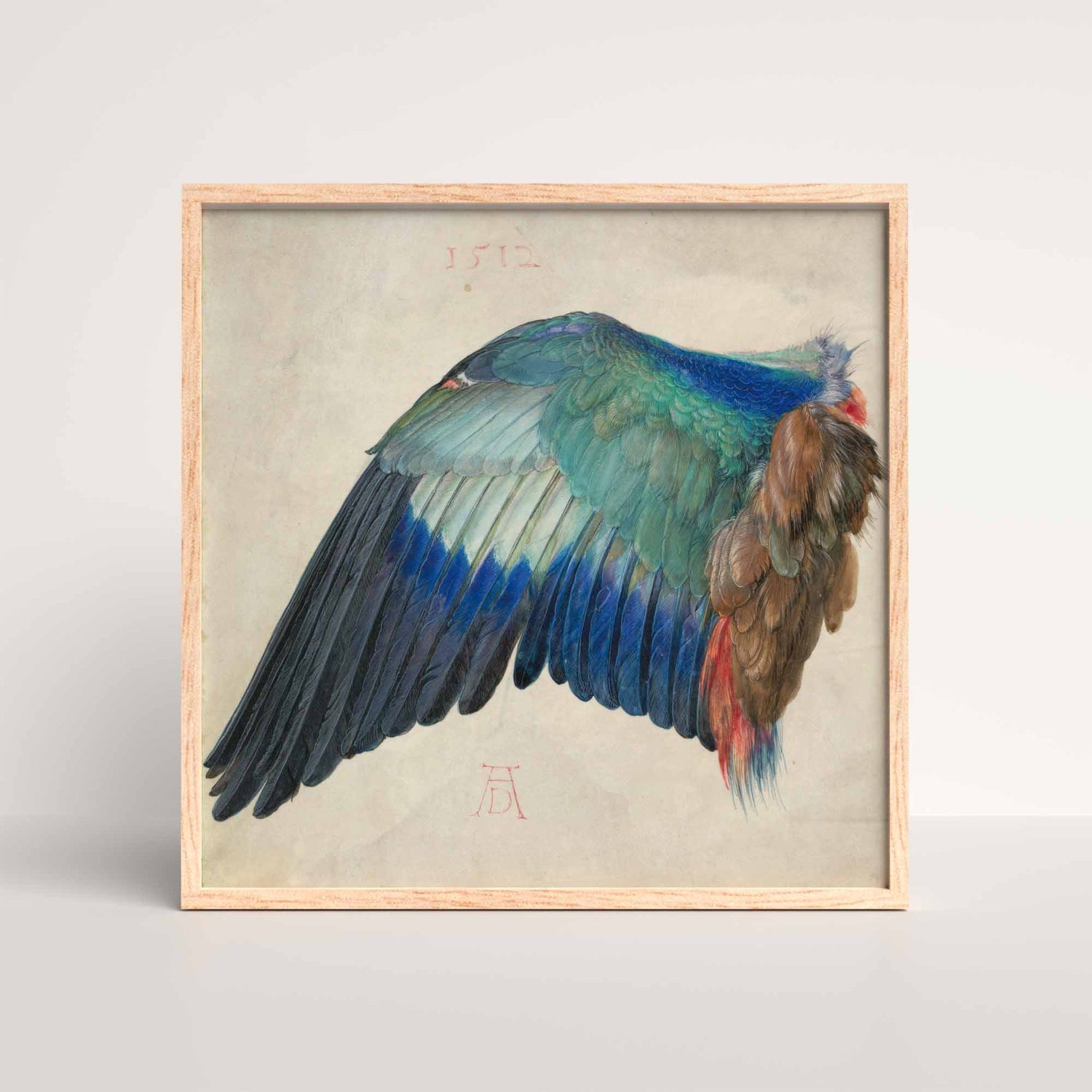 Watercolor of a bird’s wing by Albrecht Dürer, showing iridescent blue and brown feathers