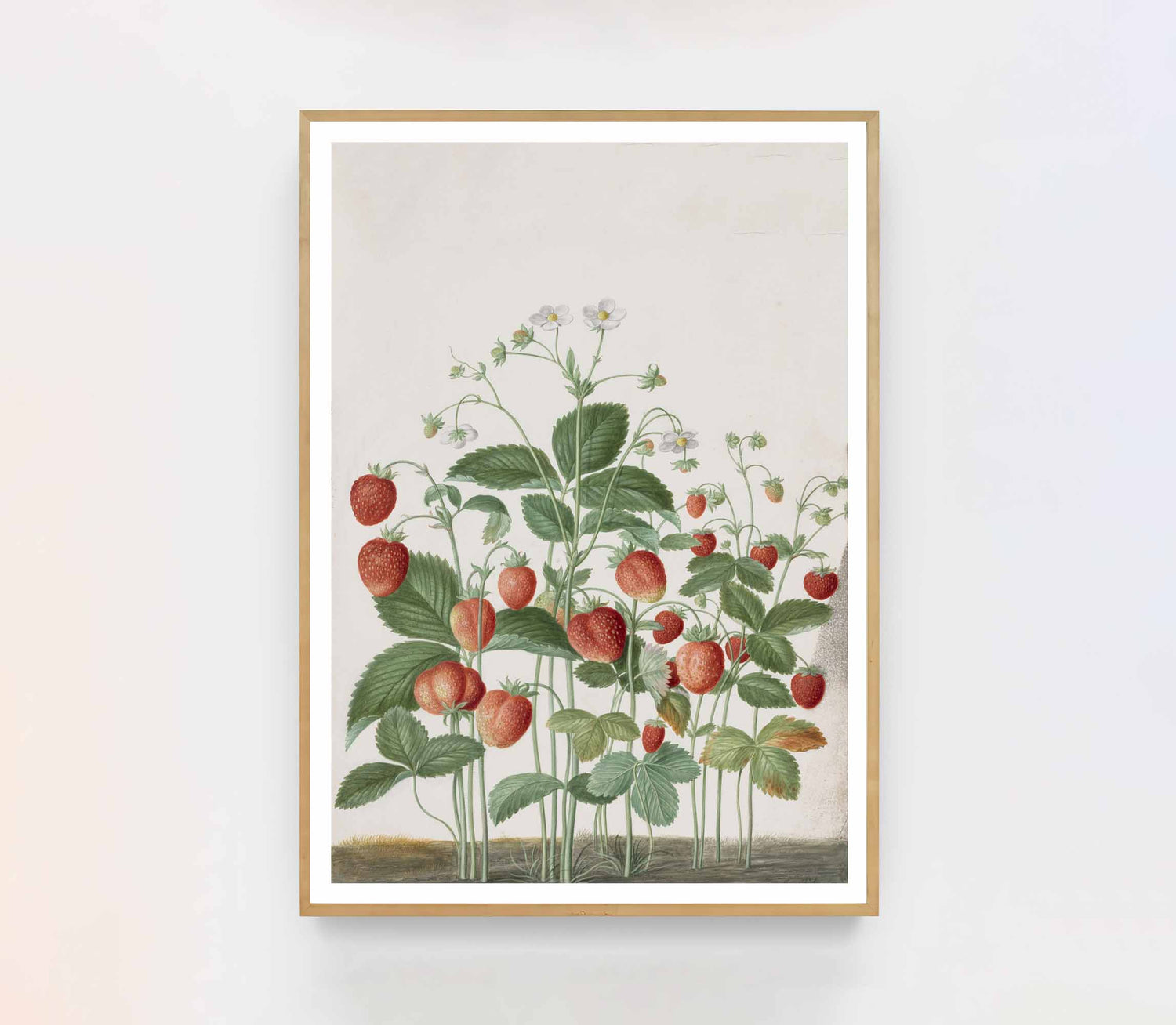 Johann Walter prints