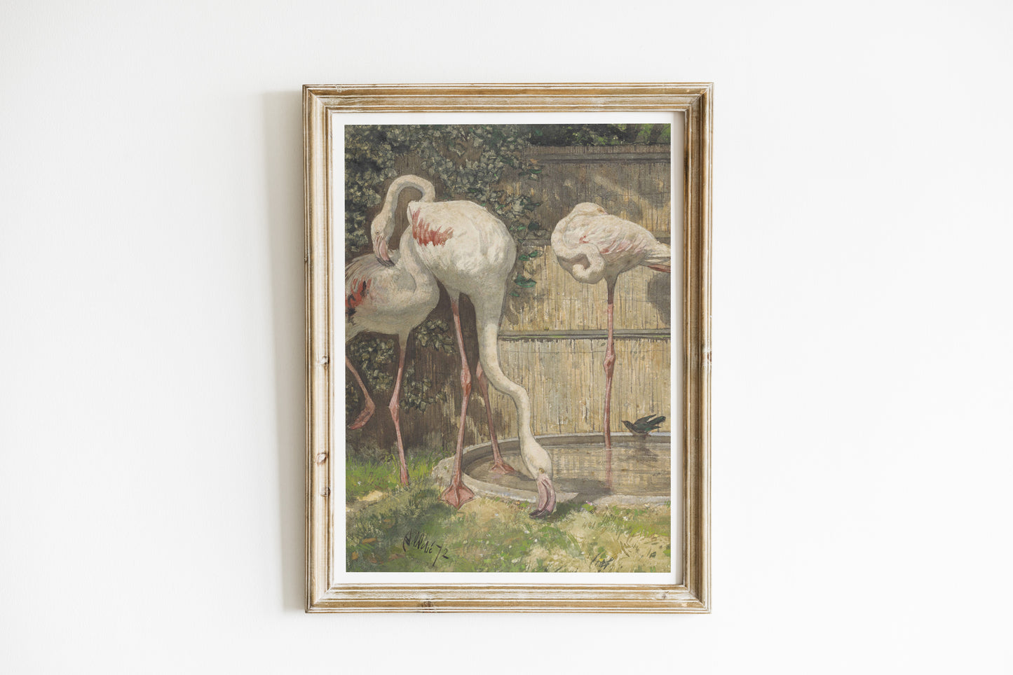 Poster Deux flamants roses, chambre d'enfant