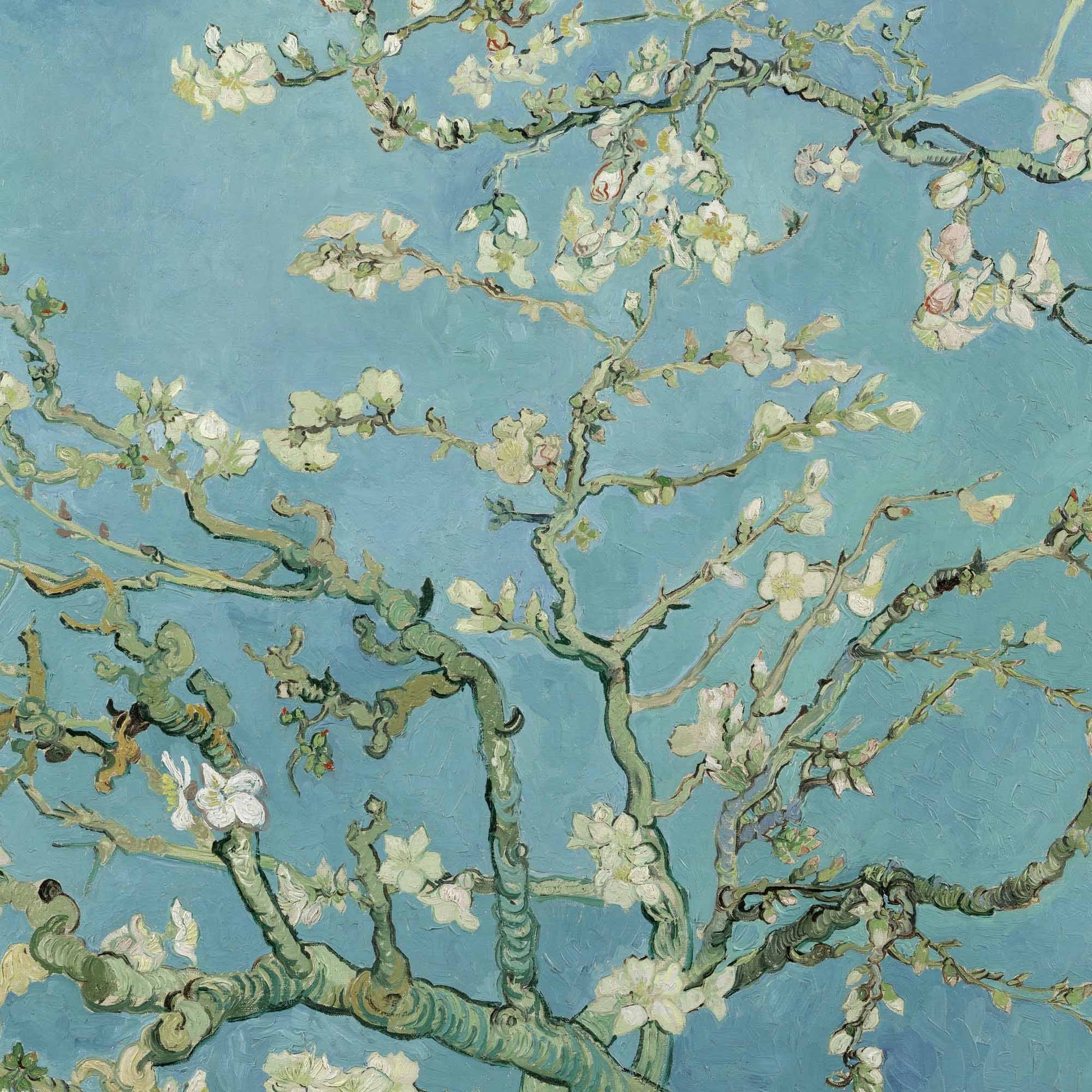 Almond Blossom, famous Van Gogh painting of almond branches with flowers against a blue background. Detail