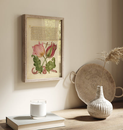 Tulipes, insectes et vers