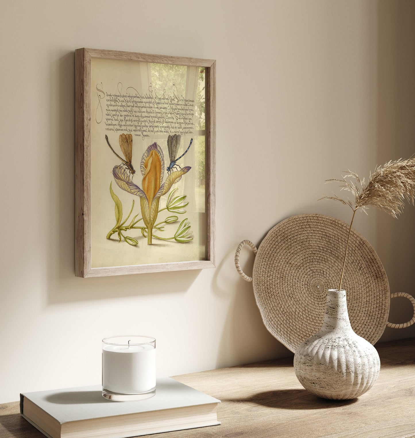 Damselflies, Spanish Iris, and Star-of-Bethlehem