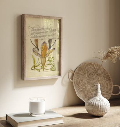 Damselflies, Spanish Iris, and Star-of-Bethlehem
