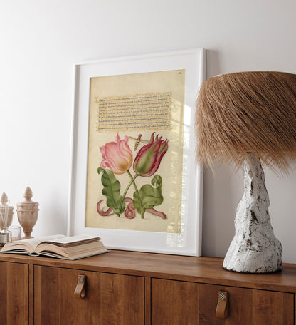 Tulipes, insectes et vers