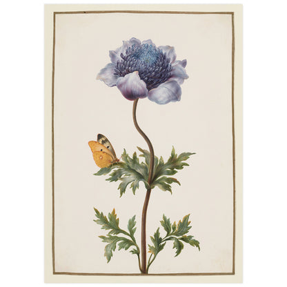 Barbara Regina Dietzsch botanical flower illustration with butterfly, vintage natural history art print.