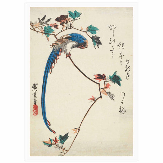 Japanese ukiyo-e print by Utagawa Hiroshige showing a blue magpie perched on a maple branch, Edo-period woodblock print reproduction.