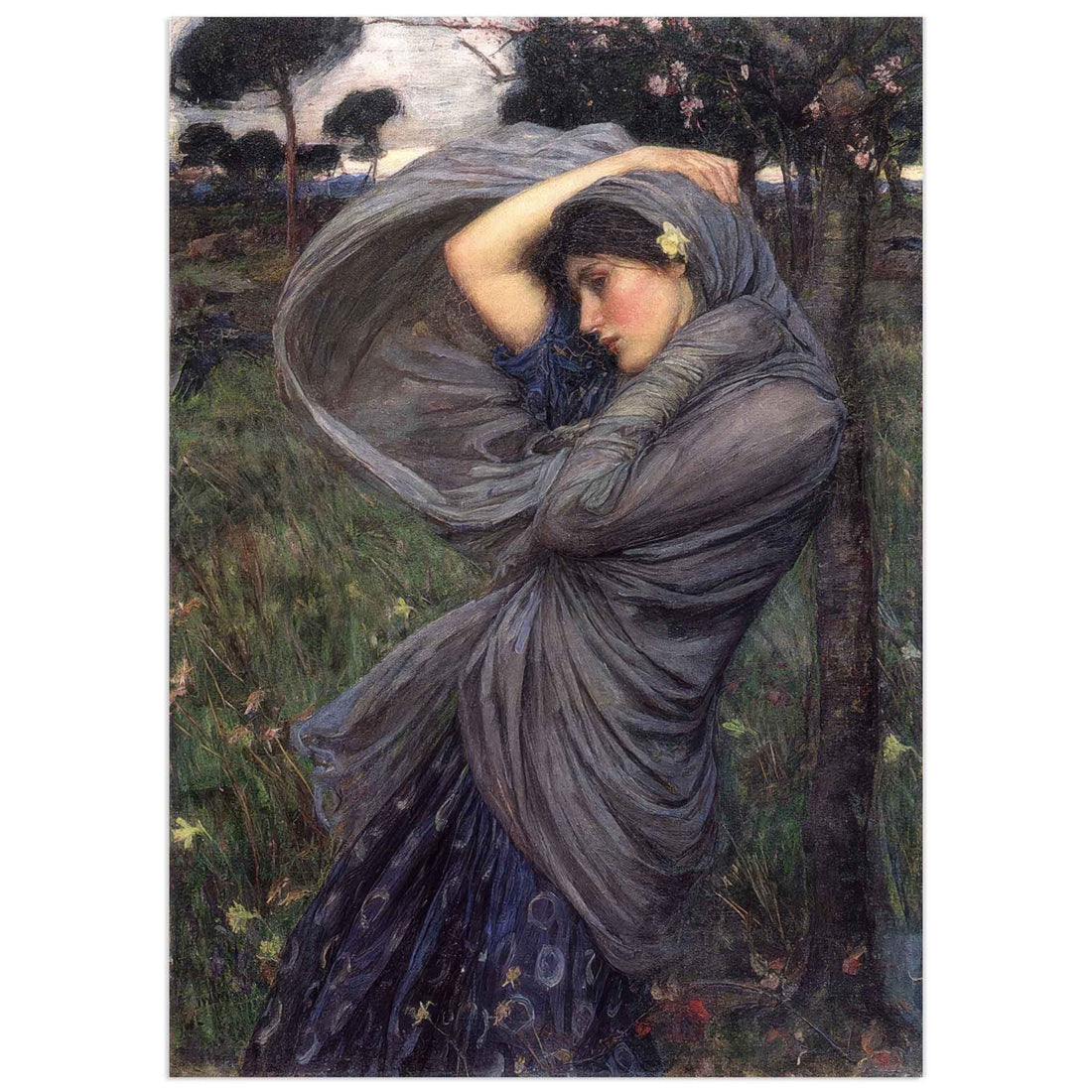 Tableau préraphaélite Boréas de John William Waterhouse : jeune femme dans le vent au milieu d'un champ printanier