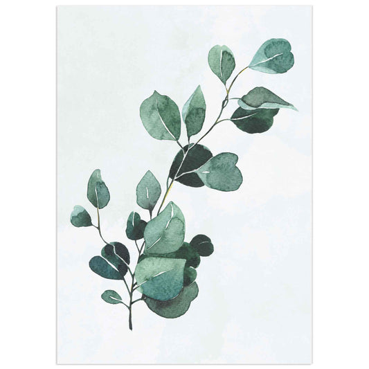 Botanical illustration of a eucalyptus branch with soft green leaves on a light background