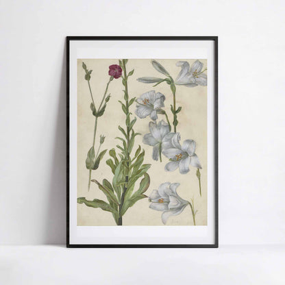 Catchfly and Lilies – Albrecht Dürer