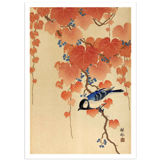 Japanese woodblock print by Ohara Koson showing a chickadee on a paulownia branch with red leaves and blue berries, fine art paper reproduction.