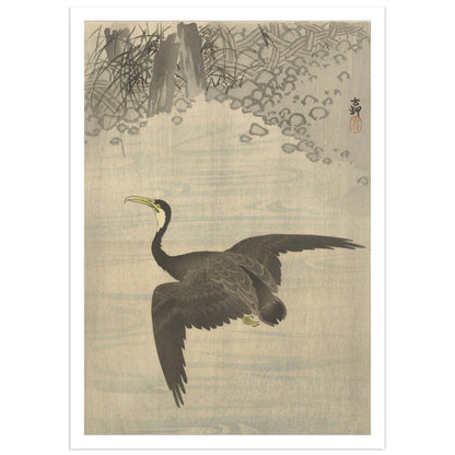 apanese woodblock print reproduction showing a black cormorant with spread wings flying low over rippling water, artwork by Ohara Koson.