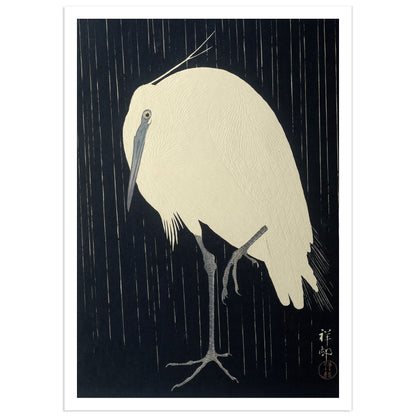 White egret standing in the rain against a dark background, Japanese woodblock print by Ohara Koson.