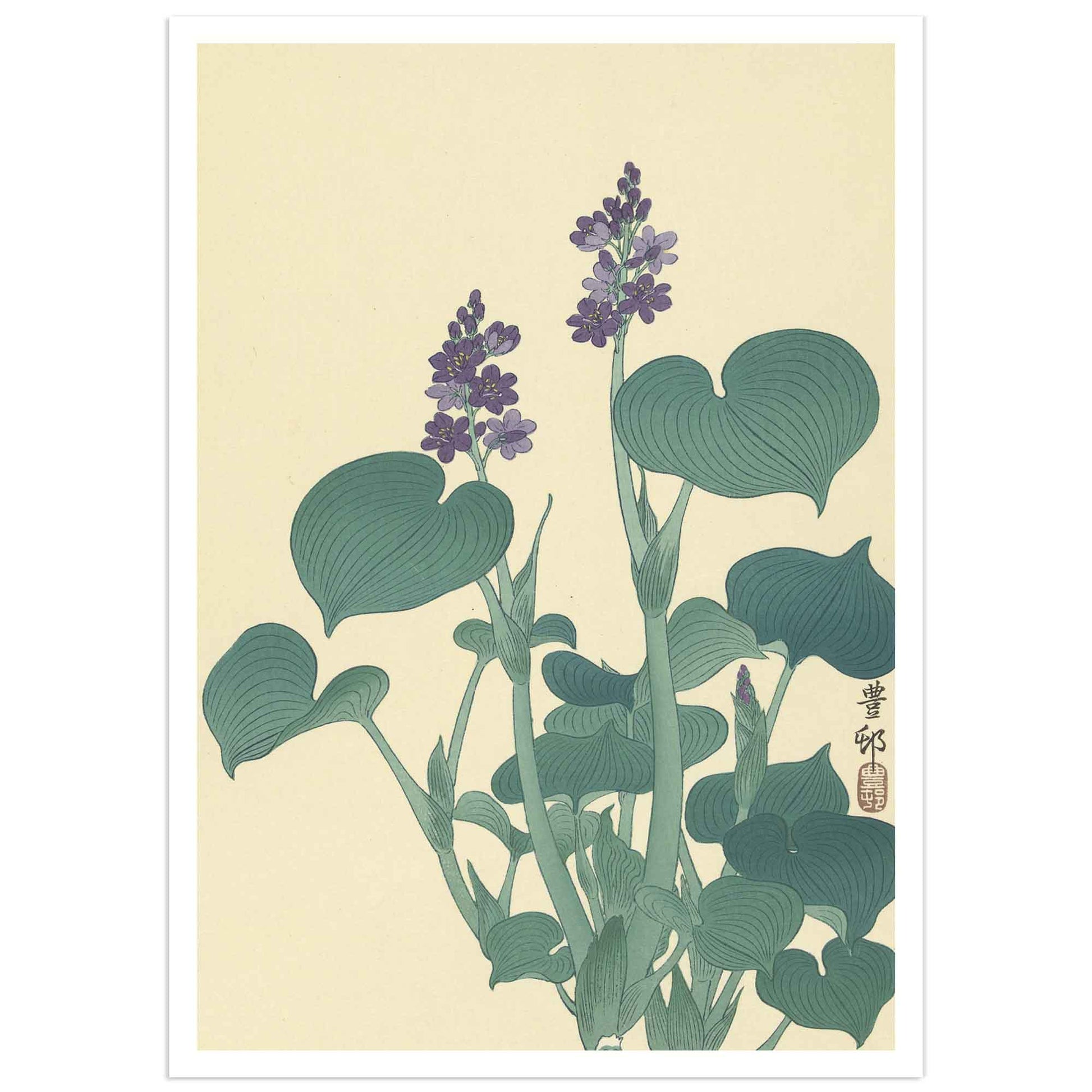 A poster featuring a woodblock print by Ohara Koson of a flowering hosta plant with purple flowers and green leaves.