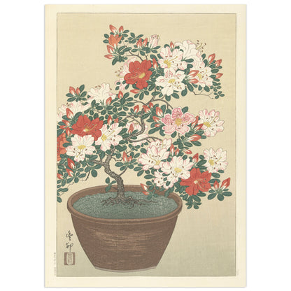 A museum quality poster by Ohara Koson featuring a woodblock print of a flowering azalea in a brown pot, with a predominantly pink and green color scheme.