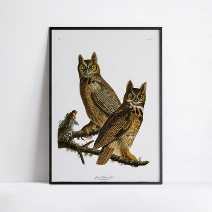 Affiche Grand-duc d'Amérique — Audubon Oiseaux d'Amérique Planche 61
