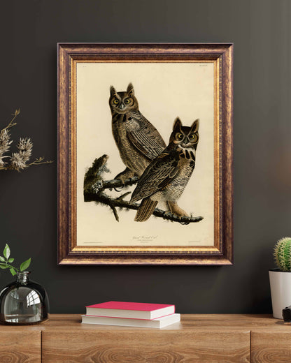 Affiche Grand-duc d'Amérique — Audubon Oiseaux d'Amérique Planche 61