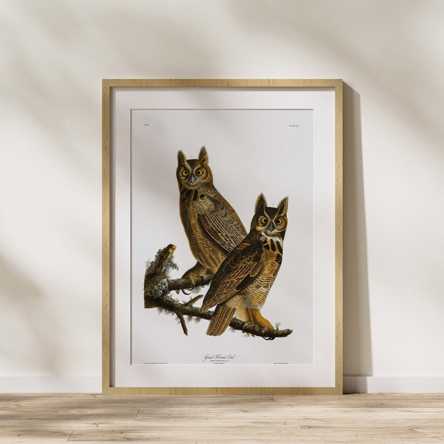 Affiche Grand-duc d'Amérique — Audubon Oiseaux d'Amérique Planche 61