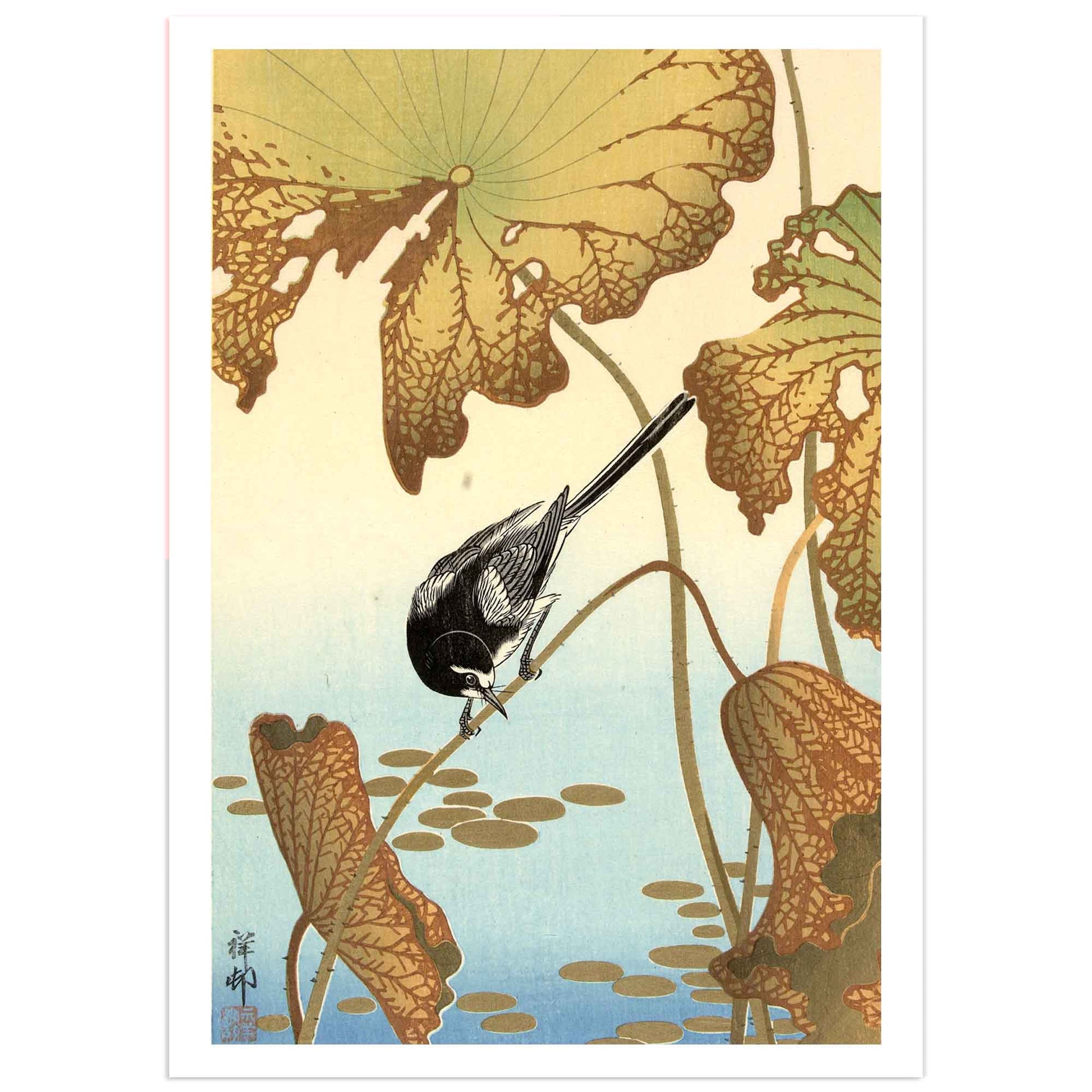 Japanese wagtail on lotus, Ohara Koson