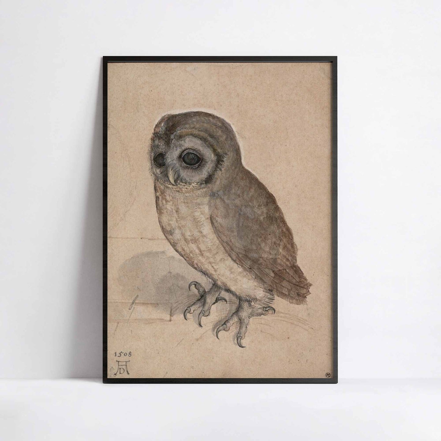 Little Owl – Albrecht Dürer (1506)