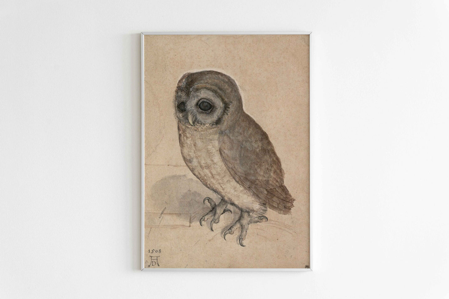 Little Owl – Albrecht Dürer (1506)