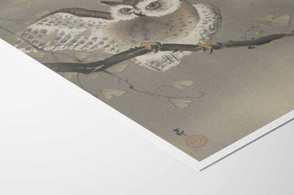 Hibou moyen-duc sur un ginkgo – Ohara Koson