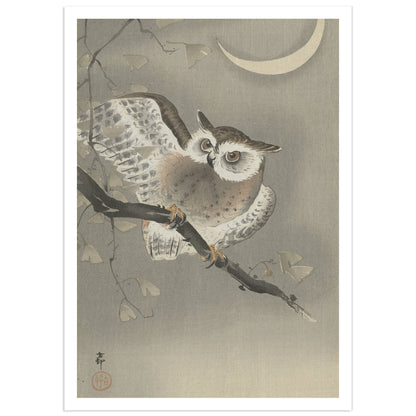 Japanese woodblock print by Ohara Koson showing a long-eared owl perched on a ginkgo branch beneath a crescent moon.