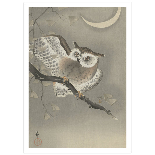 Japanese woodblock print by Ohara Koson showing a long-eared owl perched on a ginkgo branch beneath a crescent moon.