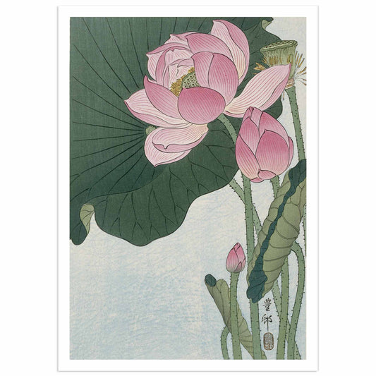 Ohara Koson Lotus Flower