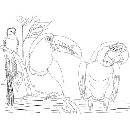 Livre de coloriage - Civilisation Maya